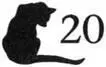 Cat to the Dogs - изображение 21