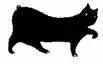Cat Breaking Free - изображение 11