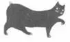 Cat Breaking Free - изображение 22