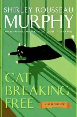 Shirley Murphy Cat Breaking Free обложка книги