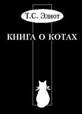 Томас Элиот Учебник Старого Опоссума по котоведению обложка книги