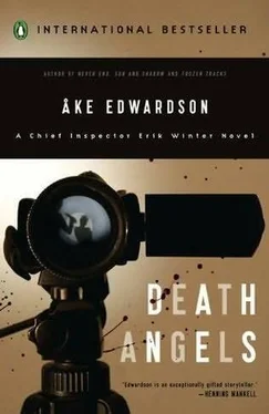 Åke Edwardson Death Angels обложка книги