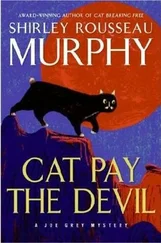 Shirley Murphy - Cat Pay the Devil