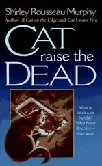 Shirley Murphy - Cat Raise the Dead