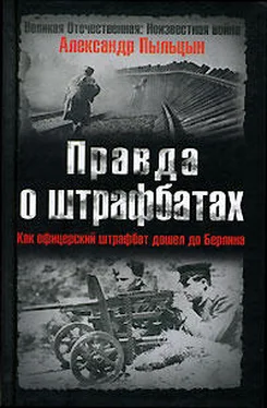 Александр Пыльцын Правда о штрафбатах. обложка книги