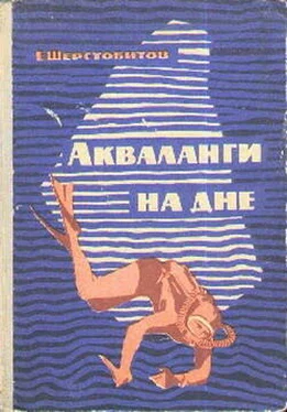 Евгений Шерстобитов Акваланги на дне обложка книги