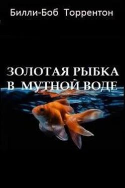 Билли-Боб Торрентон Золотая рыбка в мутной воде [СИ] обложка книги