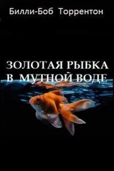 Билли-Боб Торрентон - Золотая рыбка в мутной воде [СИ]