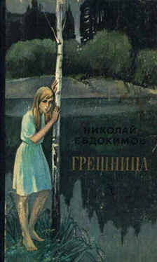 Николай Евдокимов Грешница обложка книги