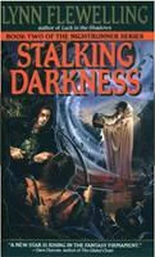 Lynn Flewelling Stalking Darkness обложка книги