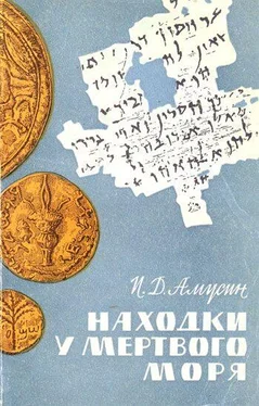 Иосиф Амусин Находки у Мёртвого моря обложка книги