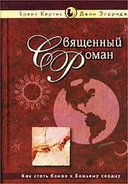 Брент Кертис Священный роман обложка книги