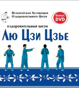 Коллектив Авторов Оздоровительный цигун Лю Цзи Цзье обложка книги