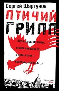 Сергей Шаргунов Птичий грипп обложка книги