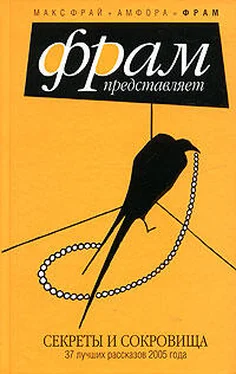 Макс Фрай Секреты и сокровища обложка книги