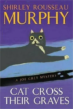 Shirley Murphy Cat Cross Their Graves обложка книги