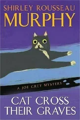 Shirley Murphy - Cat Cross Their Graves