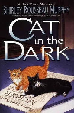 Shirley Murphy Cat in the Dark обложка книги