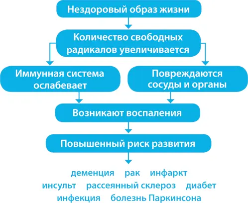 Рис 1 Нездоровый образ жизнь приводит к повышенному риску возникновения - фото 2