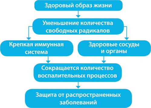 Рис 2 Здоровый образ жизни защищает от распространенных заболеваний Курение - фото 3