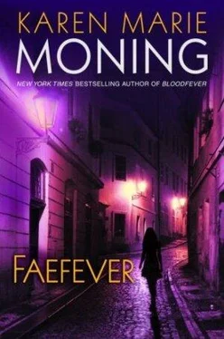 Karen Moning Faefever обложка книги