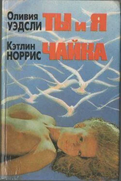 Кэтлин Норрис Чайка обложка книги