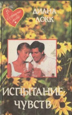 Диана Локк Испытание чувств обложка книги