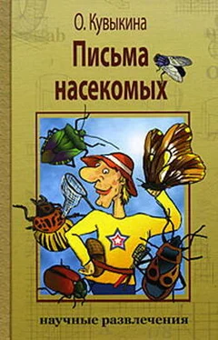 Ольга Кувыкина Письма насекомых обложка книги