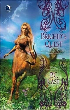 P. Cast Brighid’s Quest обложка книги