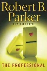 Robert Parker - The Professional