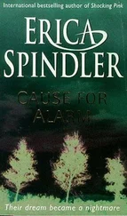 Erica Spindler - Cause for Alarm