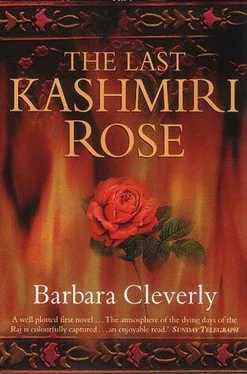 Barbara Cleverly The Last Kashmiri Rose обложка книги