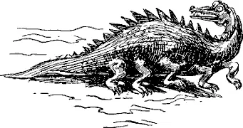 Вы не думаете что мы разбились при посадке и что все это чтонибудь вроде - фото 121