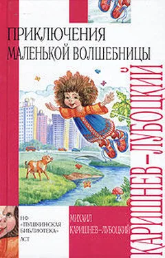 Михаил Каришнев-Лубоцкий Почти кругосветное путешествие обложка книги