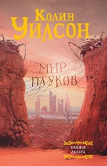 Колин Уилсон - Мир пауков - Башня. Дельта [сборник]