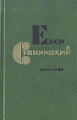 Ежи Ставинский - Час пик