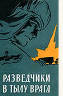 А Федотов Разведчики в тылу врага обложка книги