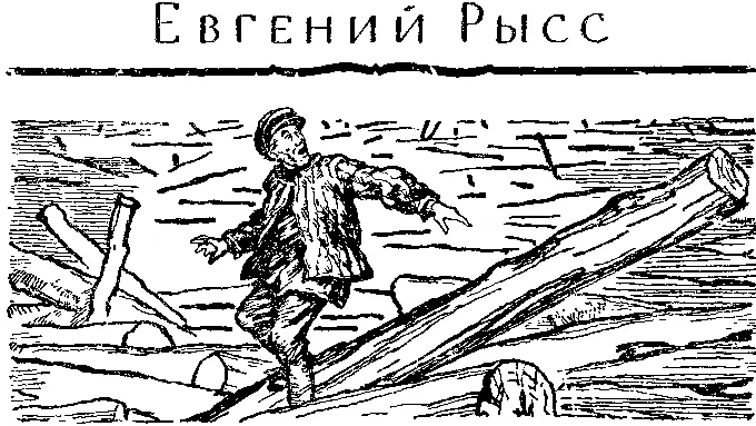 СТРАХ Глава первой ЛЕС ЛЕС ЛЕС Летом мы с Пашкой устроились в - фото 4