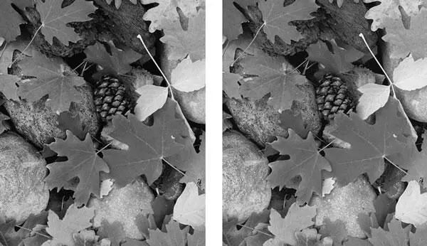Рис 88 Изображения в режиме Duotone Две краски В примере слева - фото 62