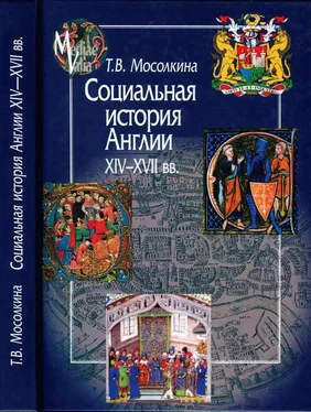 Татьяна Мосолкина Социальная история Англии XIV-XVII вв. обложка книги