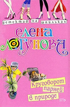 Елена Логунова Круговорот парней в природе обложка книги