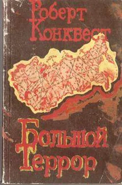 Роберт Конквест Большой террор. Книга I. обложка книги