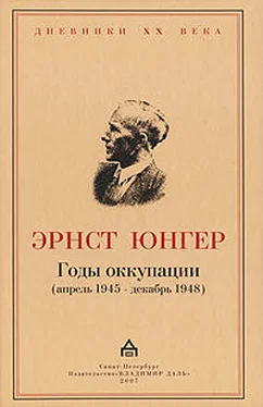 Эрнст Юнгер Годы оккупации обложка книги