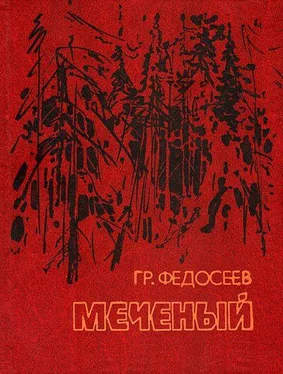 Григорий Федосеев Меченый обложка книги