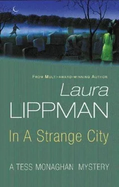 Laura Lippman In A Strange City обложка книги