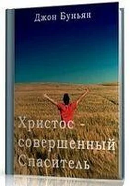 Джон Буньян Христос - совершенный Спаситель или Ходатайственное служение Христа и кто удостаивается его обложка книги