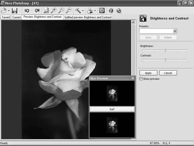 Рис 313Применение фильтра Brightness and Contrast Яркость и контраст С - фото 30