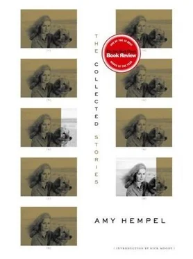 Эми Хемпель Рассказы обложка книги