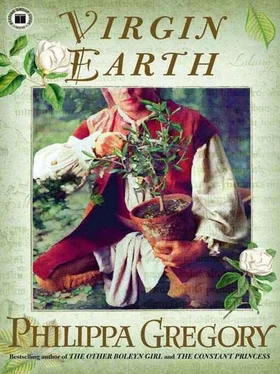 Philippa Gregory Virgin Earth обложка книги