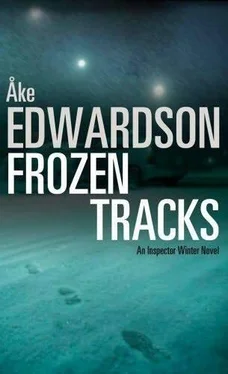 Åke Edwardson Frozen Tracks обложка книги